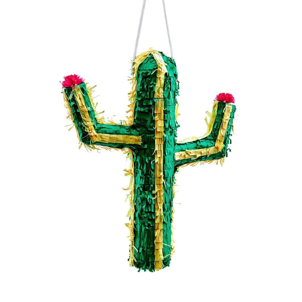PINATA Kaktus
