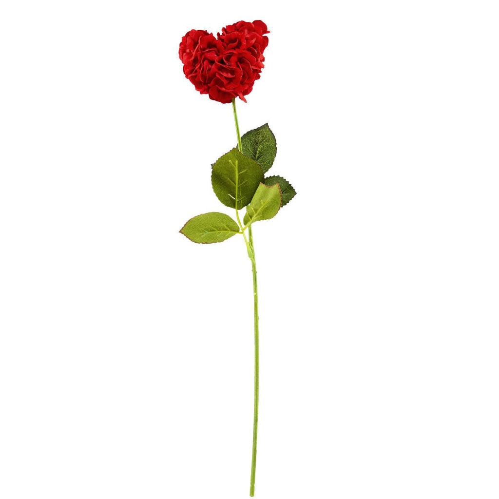FLORISTA Růže ve tvaru srdce