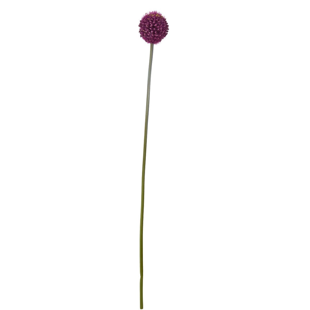 FLORISTA Česnek - fialová