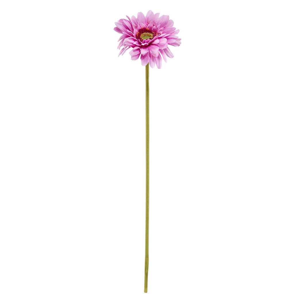 FLORISTA Gerbera - sv. fialová