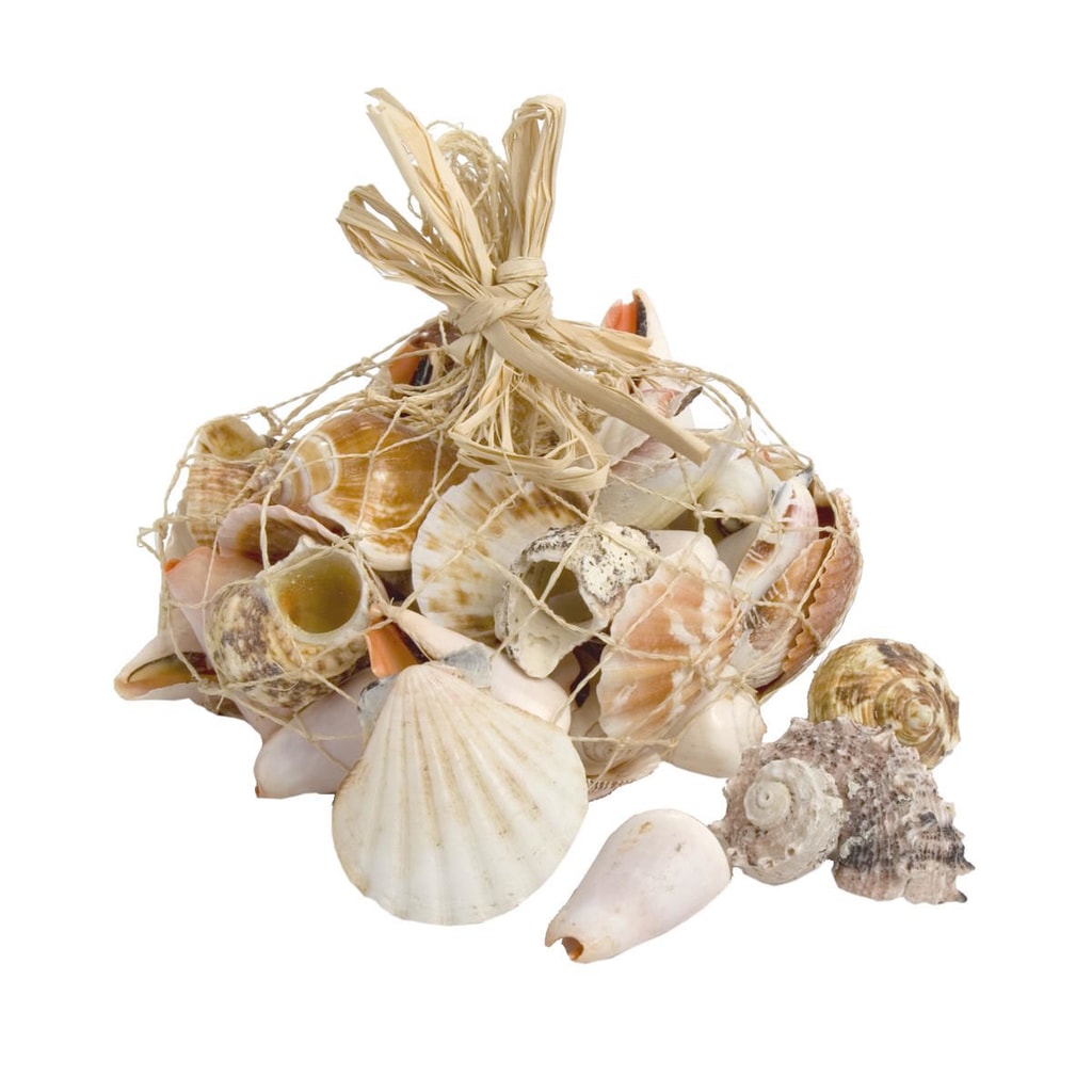 SHELL Mušle směs 850g