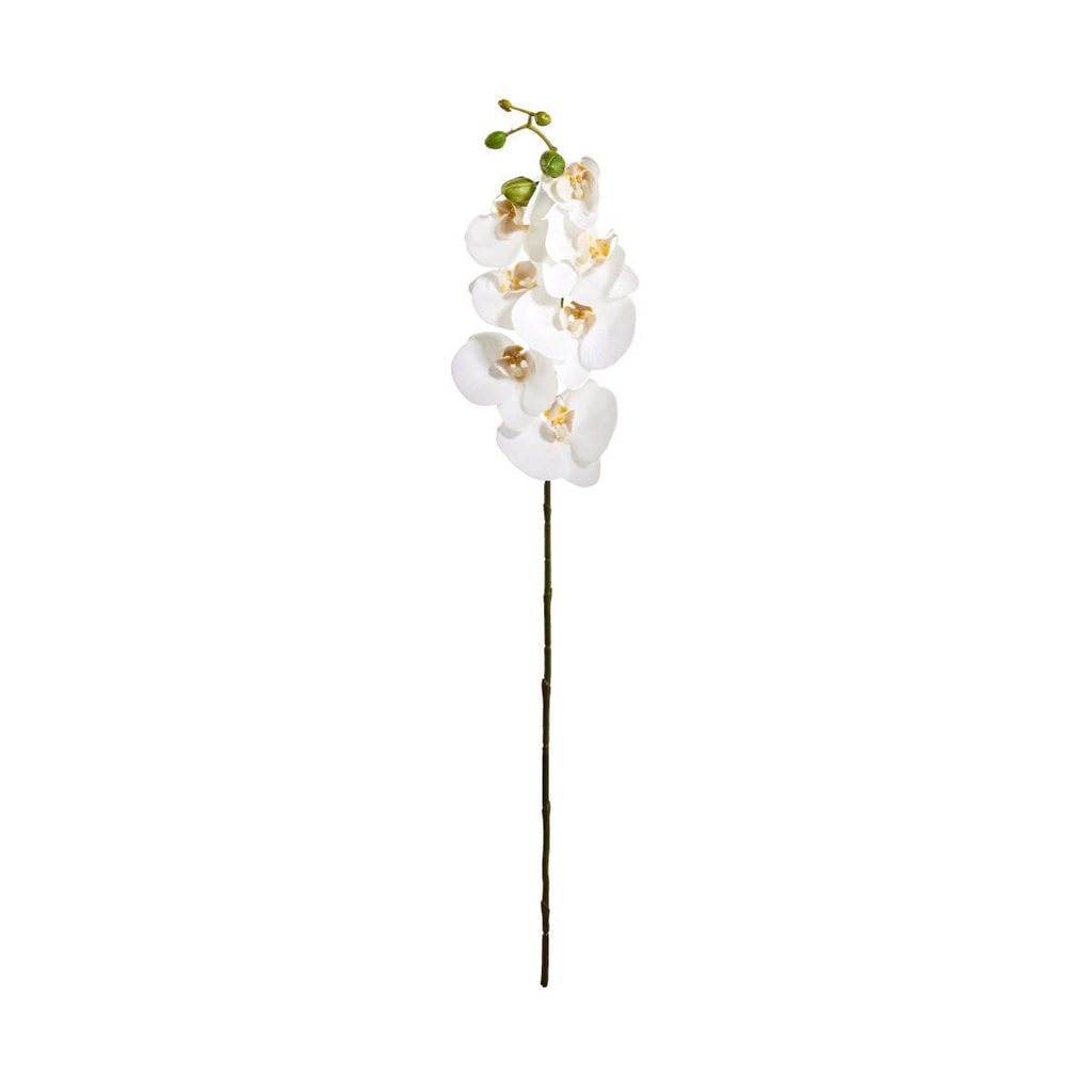 FLORISTA Větvička orchidej 70 cm - bílá