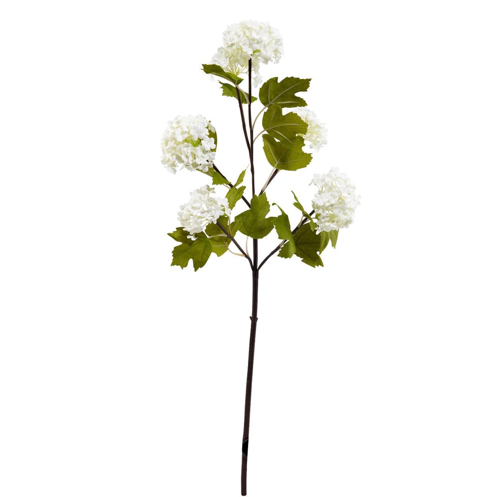 FLORISTA Větvička kaliny obecné - krémová