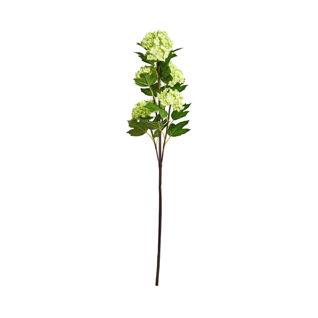 FLORISTA Větvička kalina 60 cm - zelená